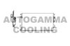 AUTOGAMMA 101743 Condenser, air conditioning